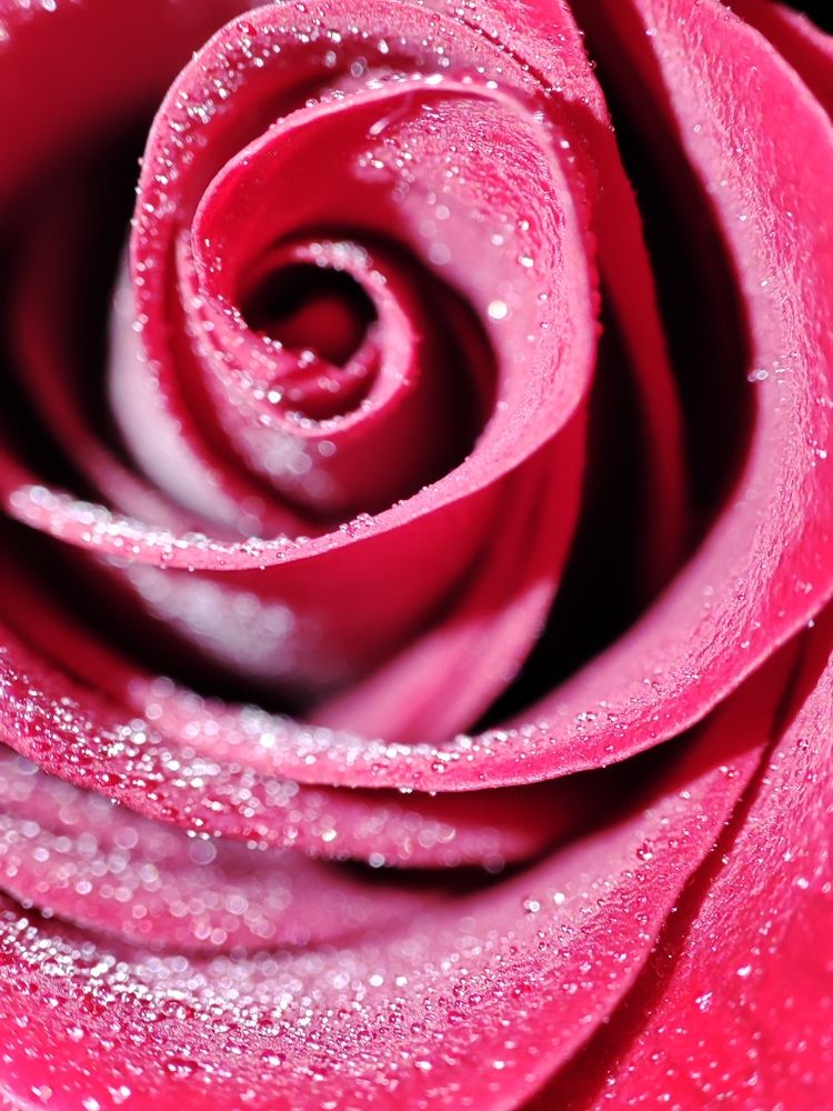 Photograph by ValentinaK