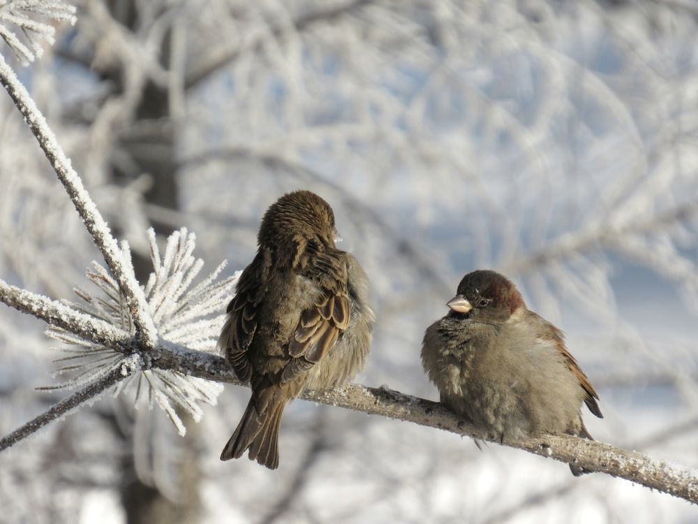 Photograph by Марина Савченко