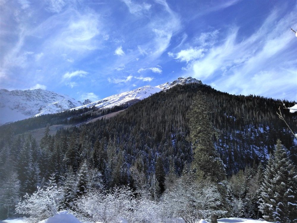 Photograph by SAFRON