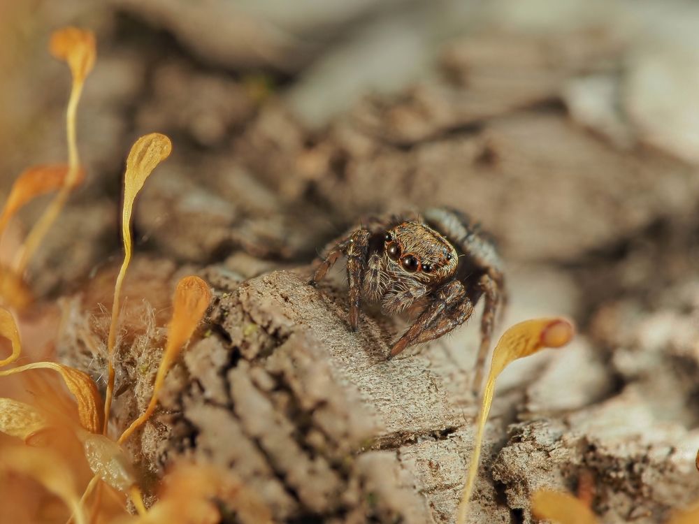 Photograph by Максим Кошелев