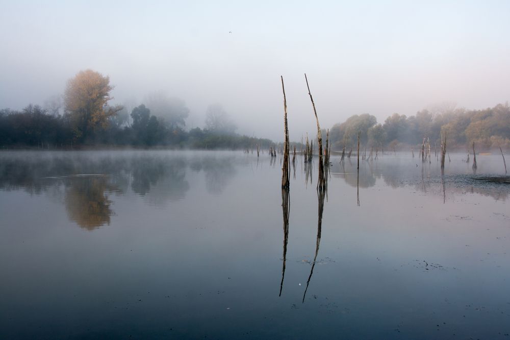 Photograph by Maja Tomić