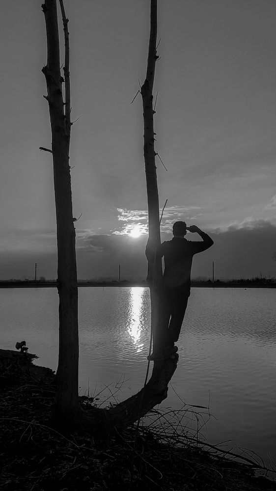 Photograph by mahdi ghanbari