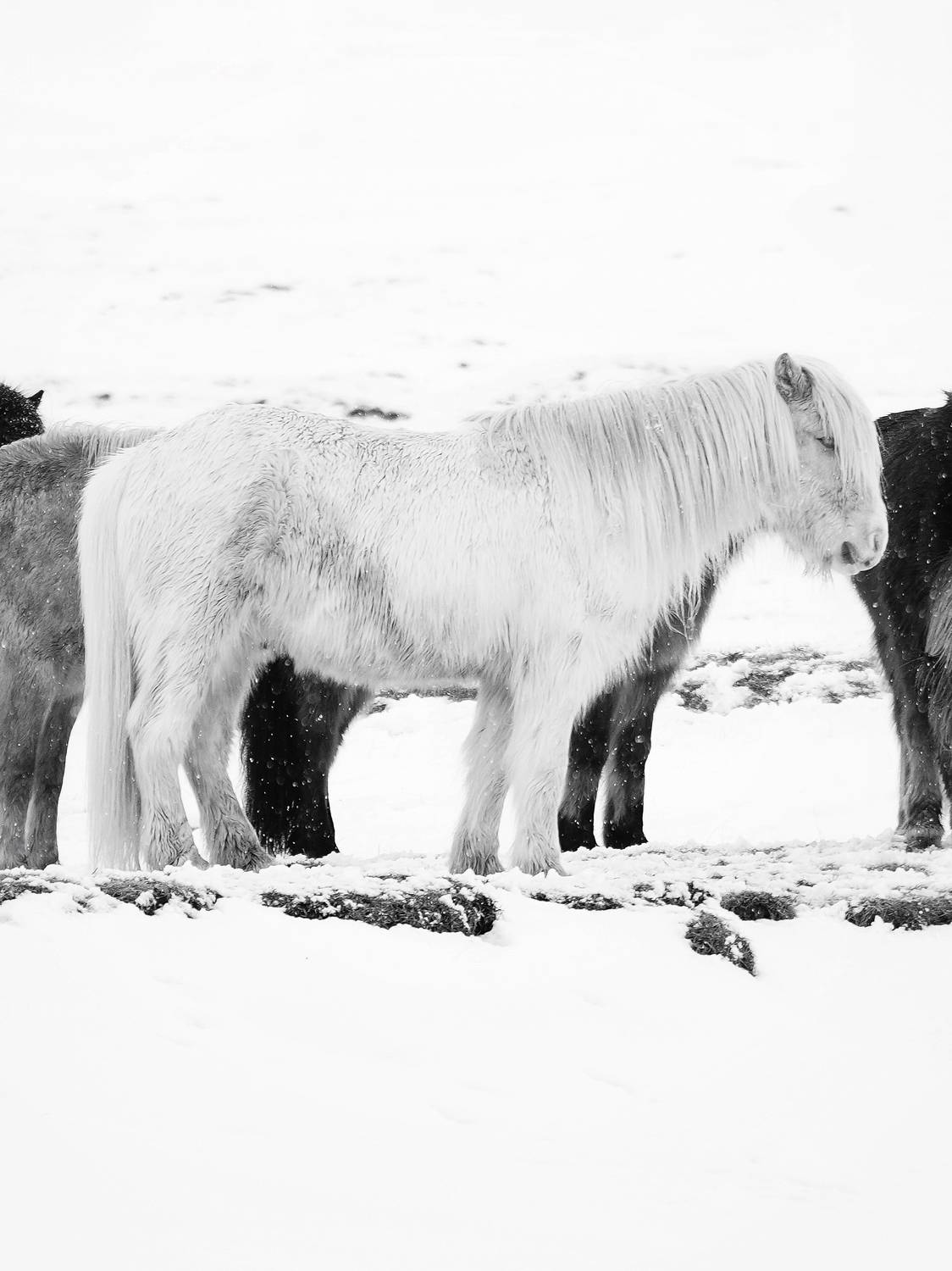 Фотография #8900230