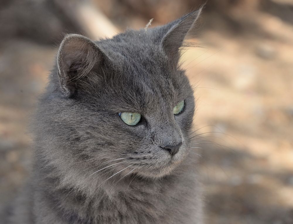 Photograph by Владимир Брагилевский