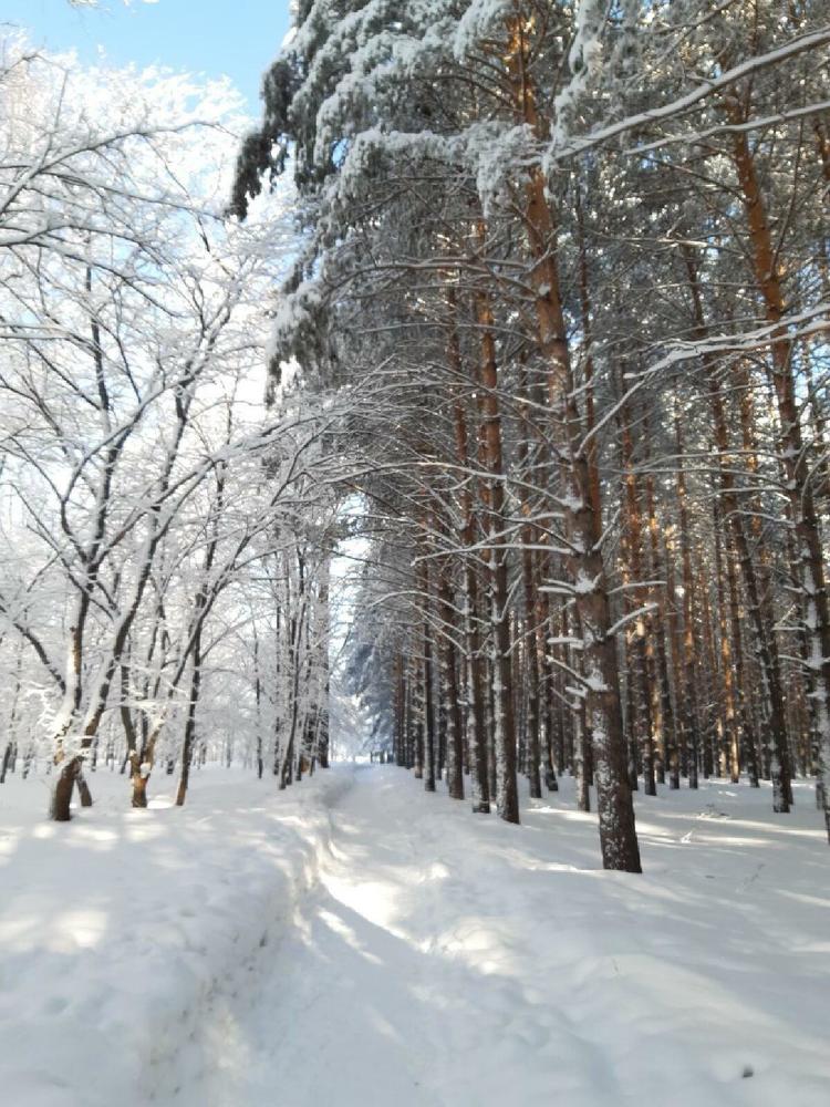 Пейзаж-день.
