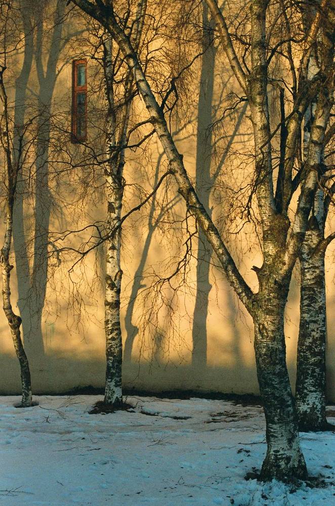 Photograph by Василий Селиванов