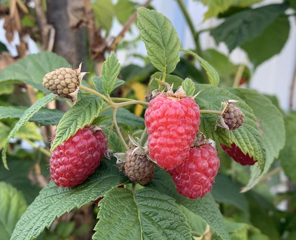 Photograph by Елена Смирнова