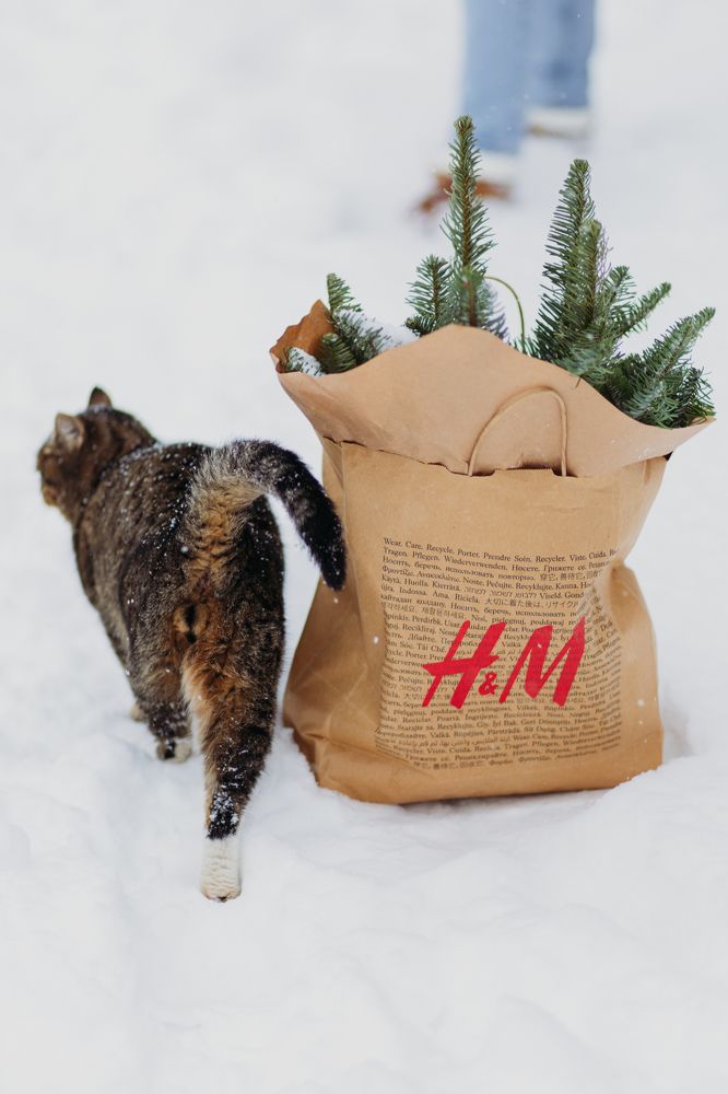 Photograph by Александра Смирнова