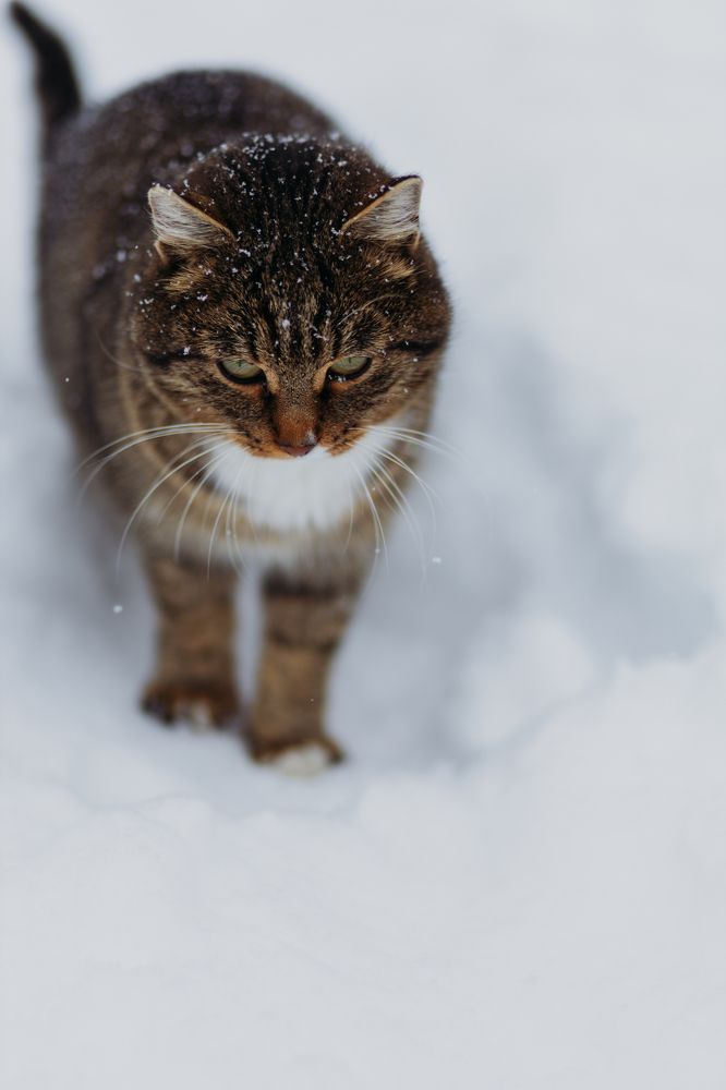 Photograph by Александра Смирнова