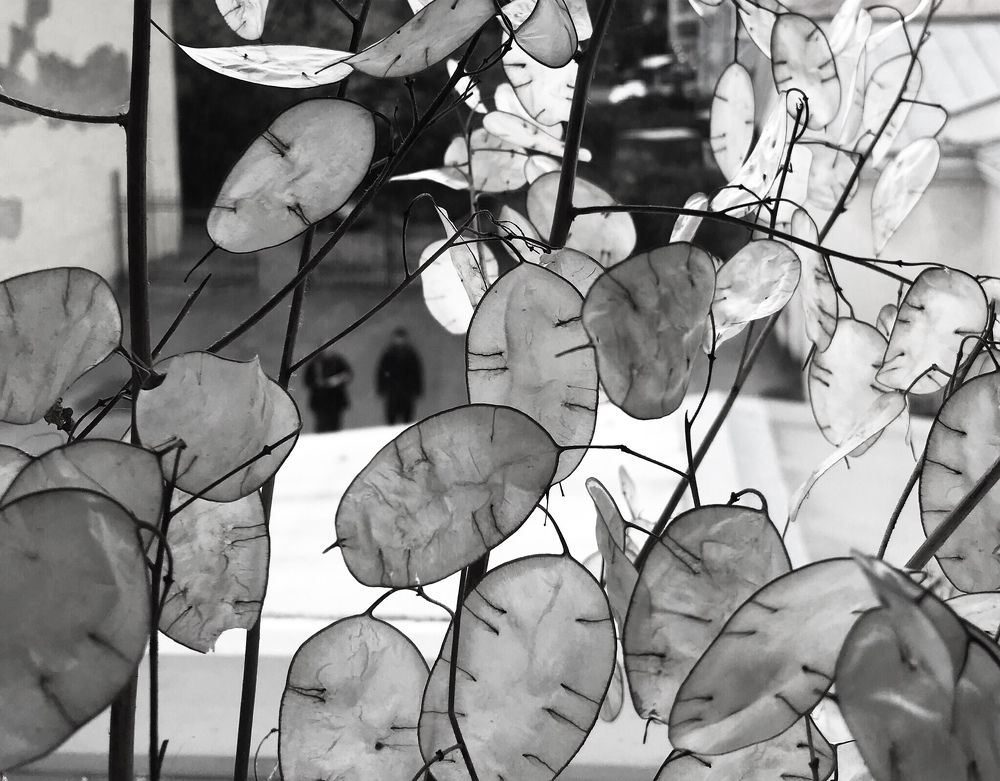 Photograph by Таня Мартынова