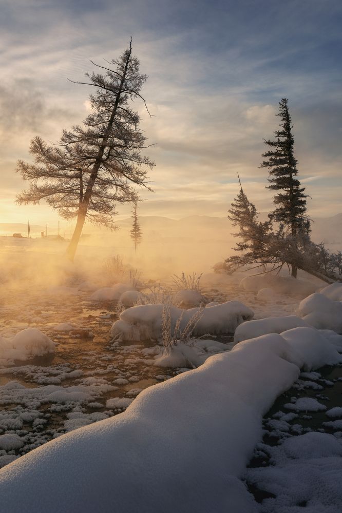 Photograph by Дмитрий Купрацевич