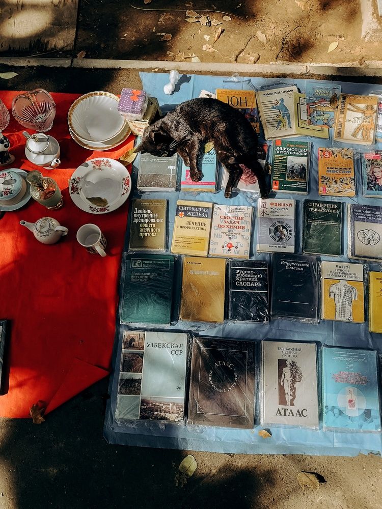 Photograph by Мария Данилкина