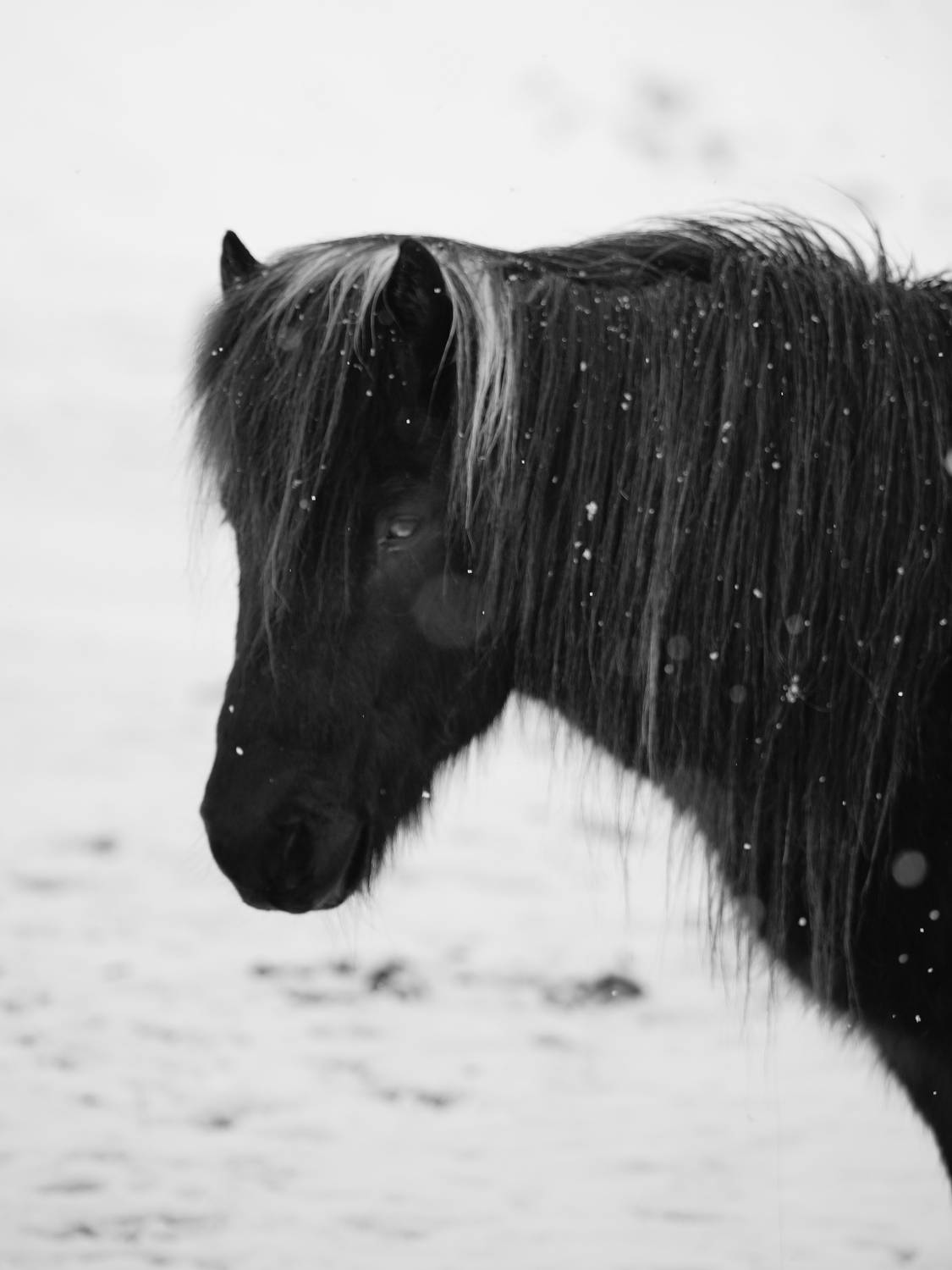 Фотография #8900443