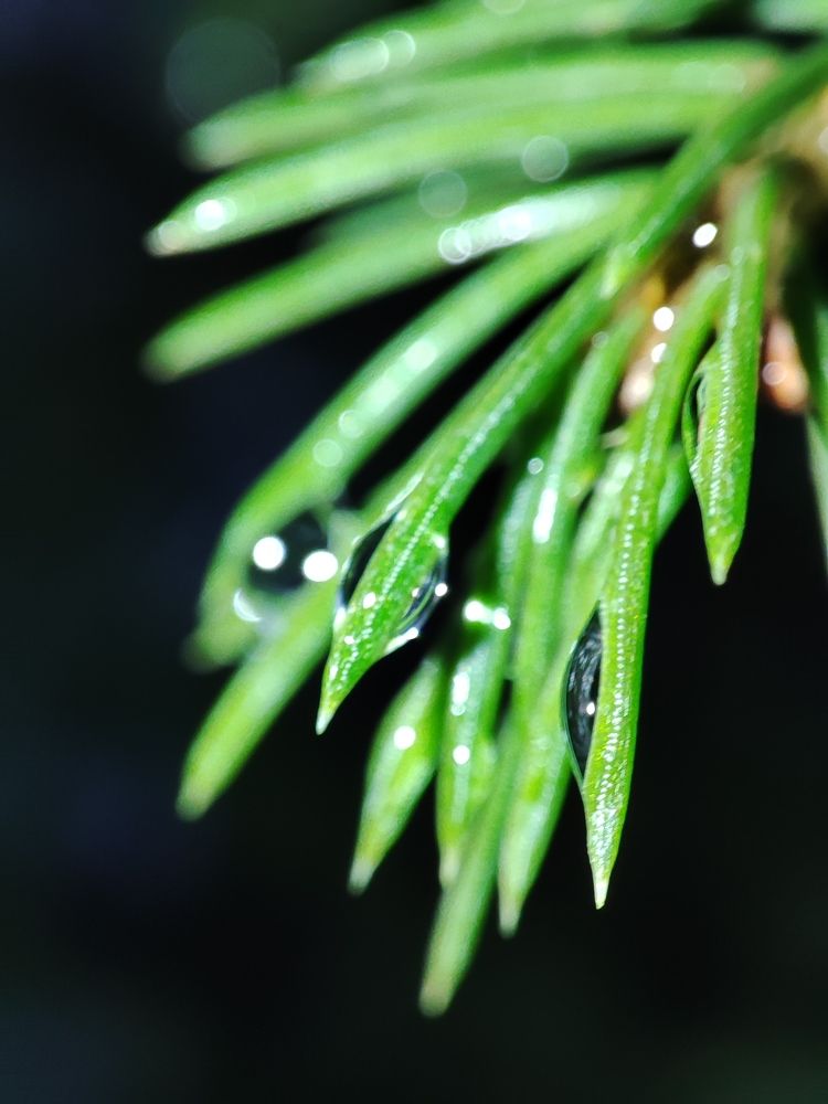 Photograph by ValentinaK