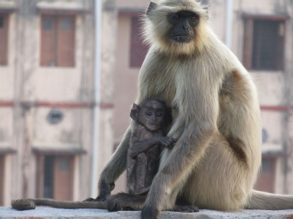 Photograph by Mukesh Barnwal