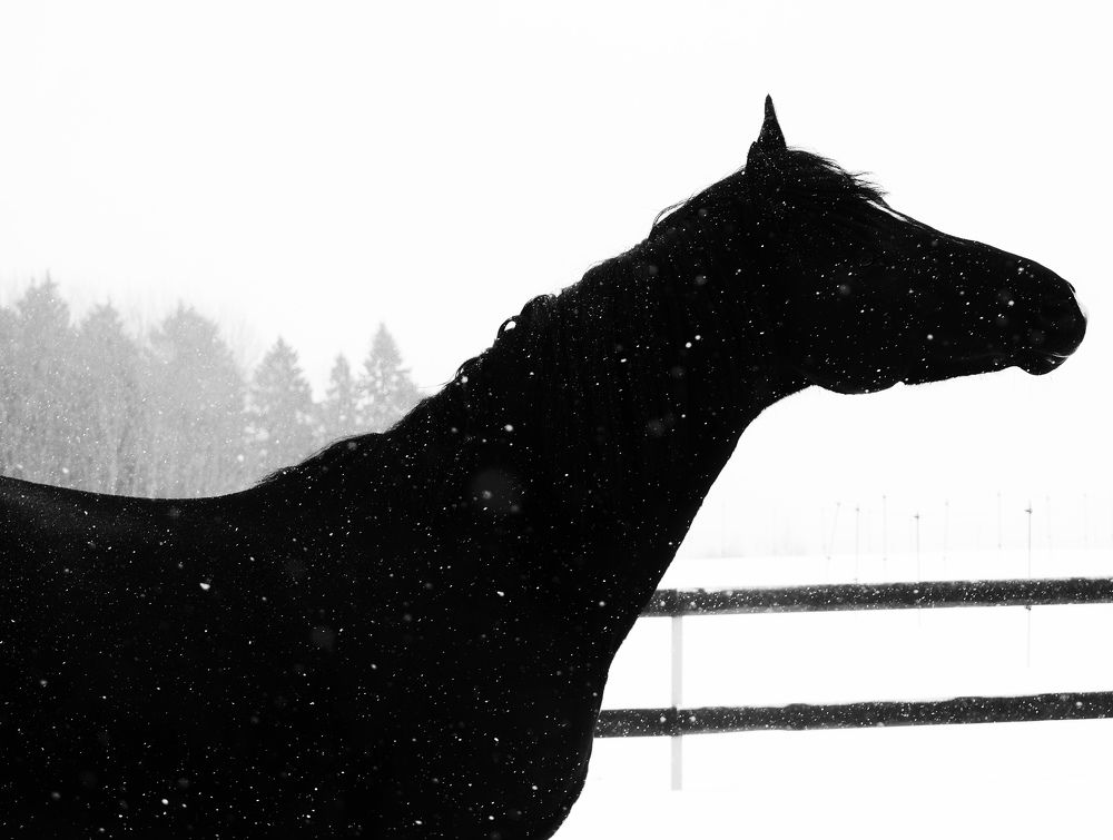 Photograph by Roman Байтлеулов