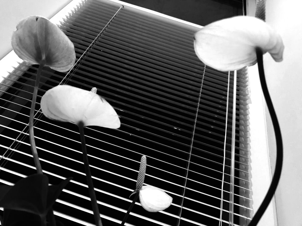 Photograph by Таня Мартынова