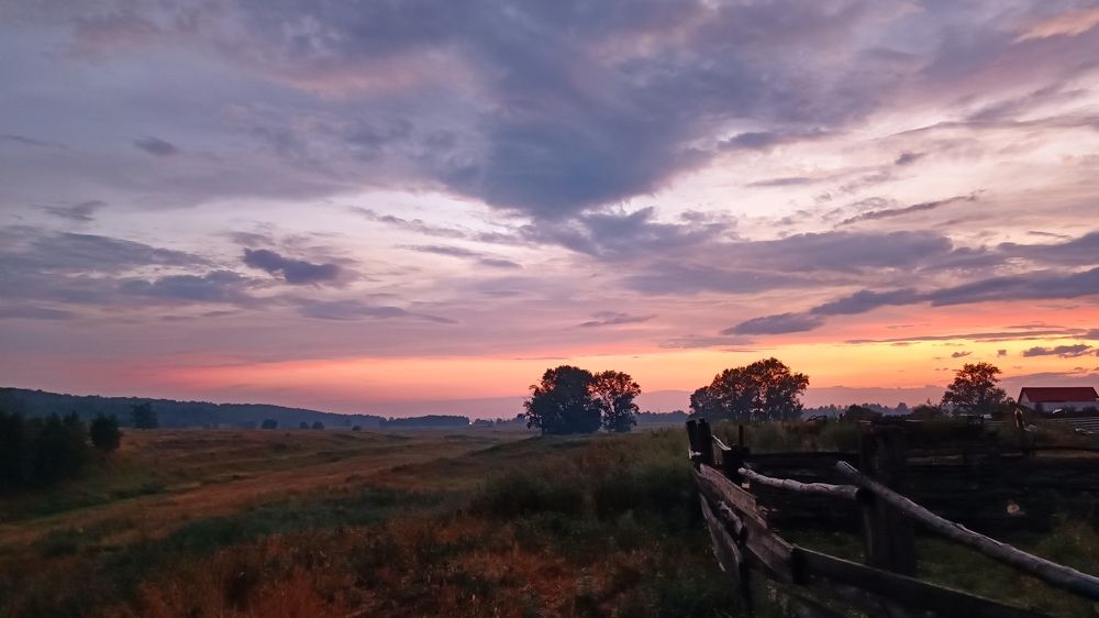 Сиреневые дали