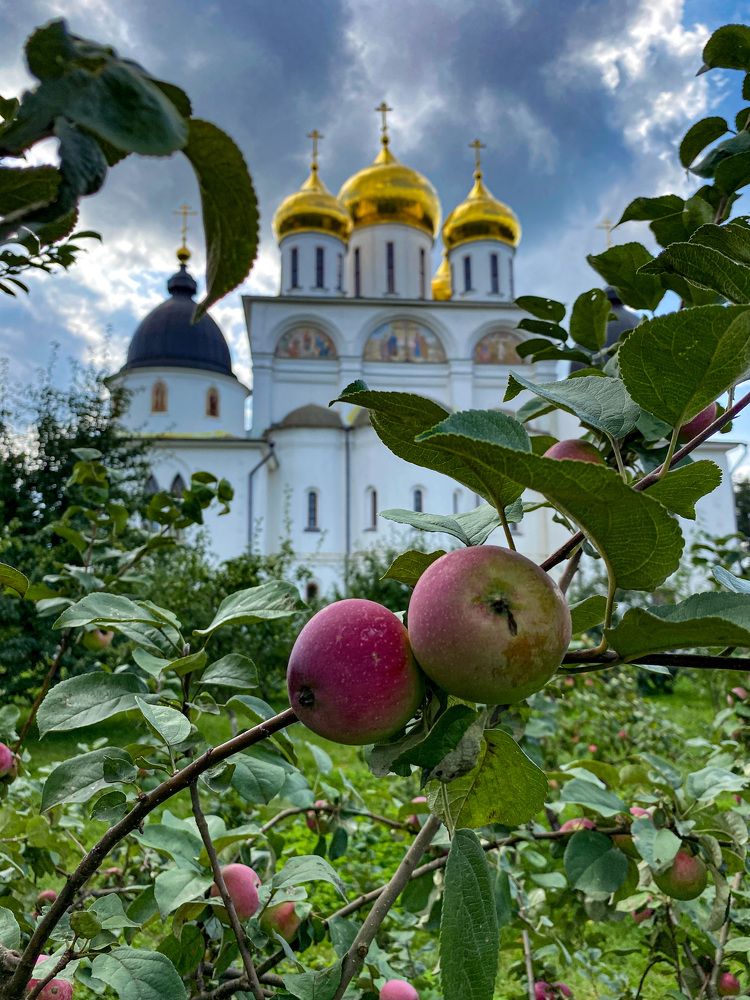 Photograph by Игорь Ляшко