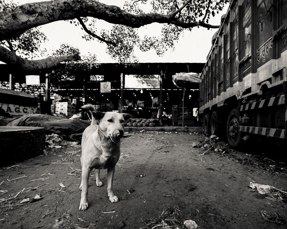 Photograph by RITVIK BHARDWAJ