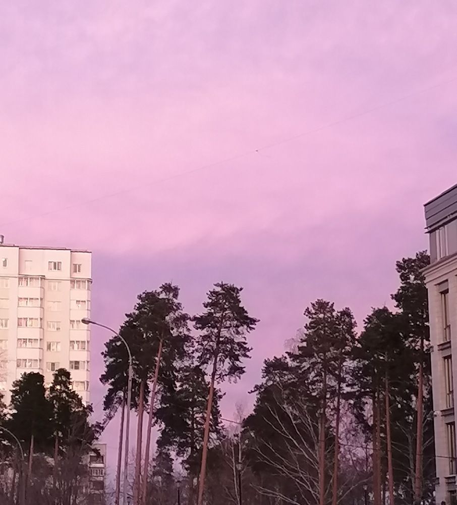 Photograph by Наталия