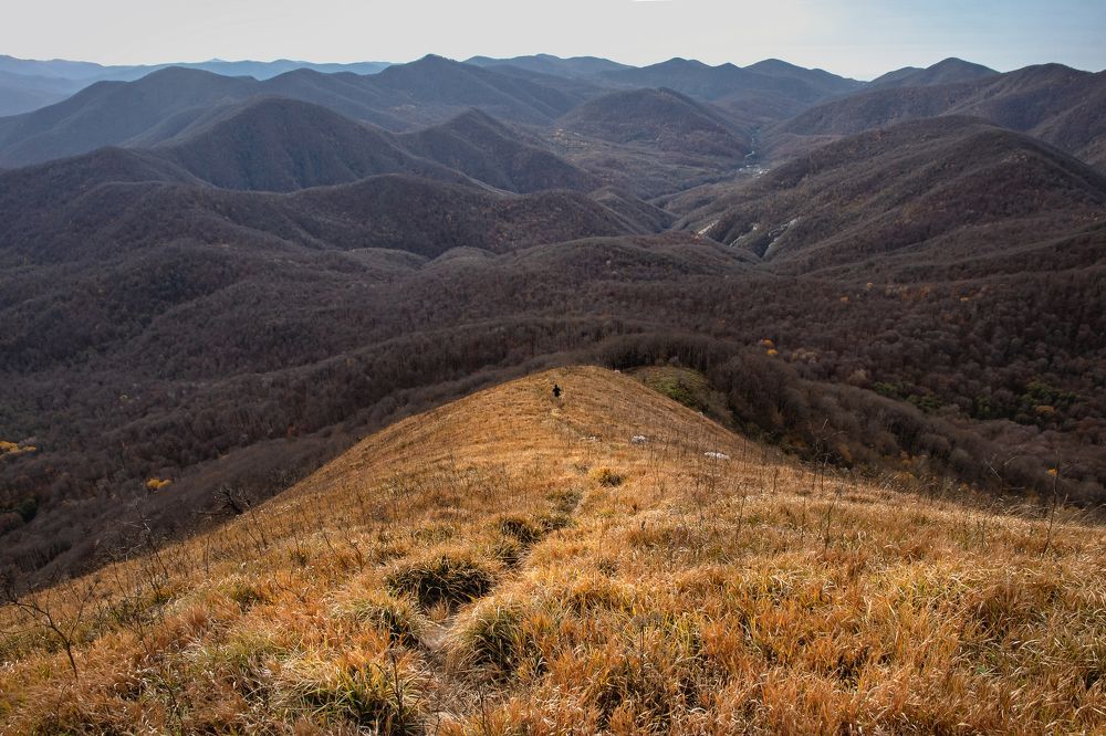 Photograph by Виталий Шкадинов