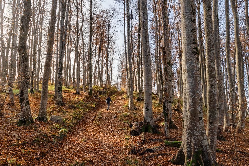 Photograph by Виталий Шкадинов