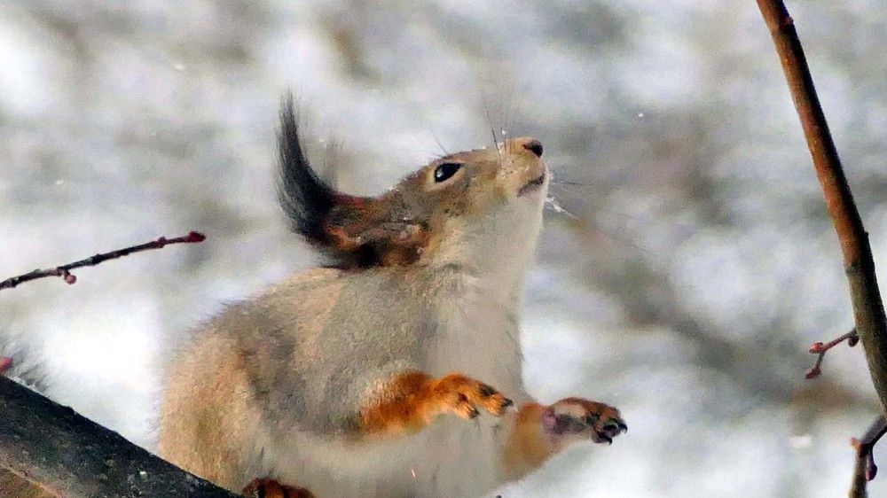 Photograph by Николай Орлов