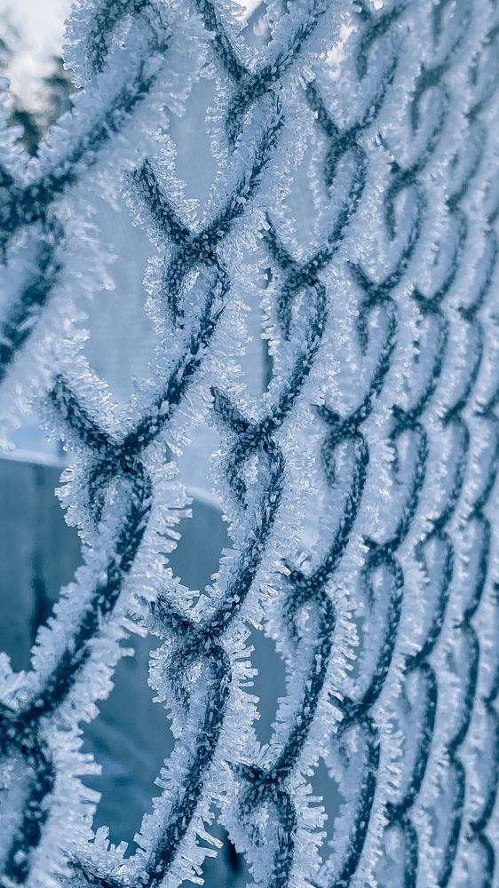 Photograph by Anna Sindikayeva