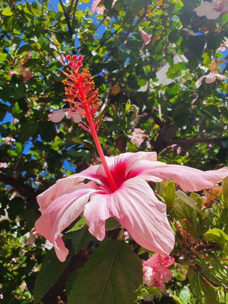 Photograph by Aksana Pilipavets