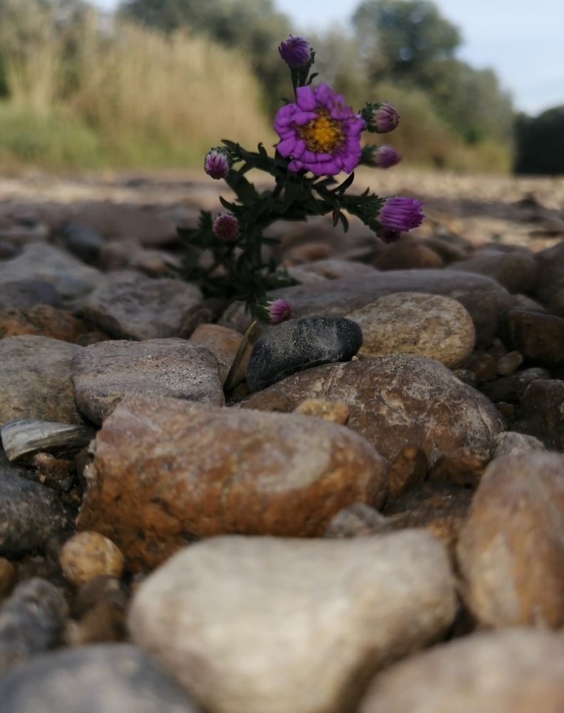 Photograph by Анна Володина