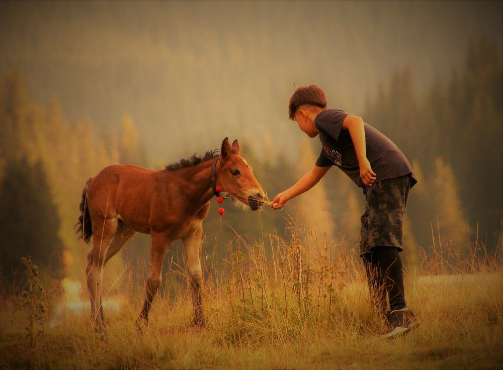 Photograph by Chrysanthopoulos Carmen Sorina