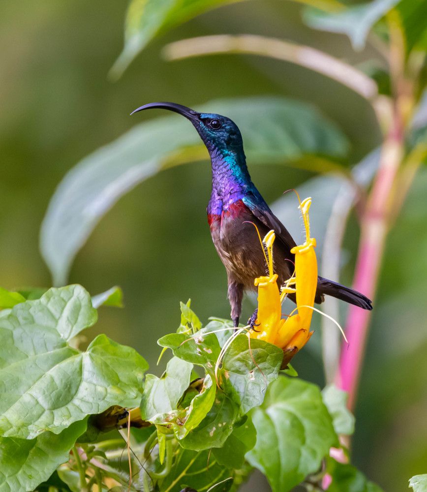 Photograph by Алексей Солоухин