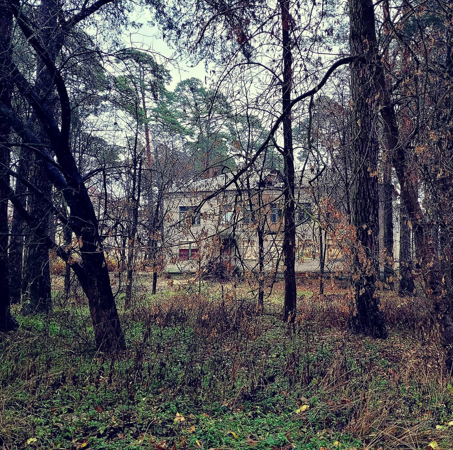 Photo #8900980