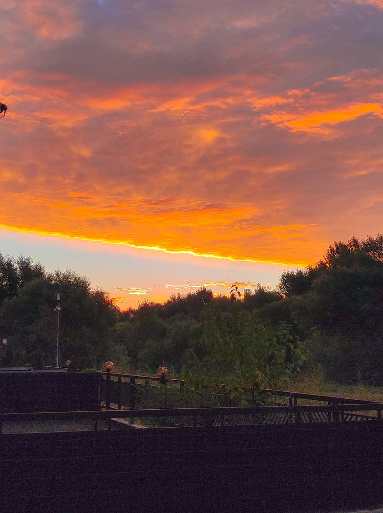 Photograph by Aleksandar Kisyov