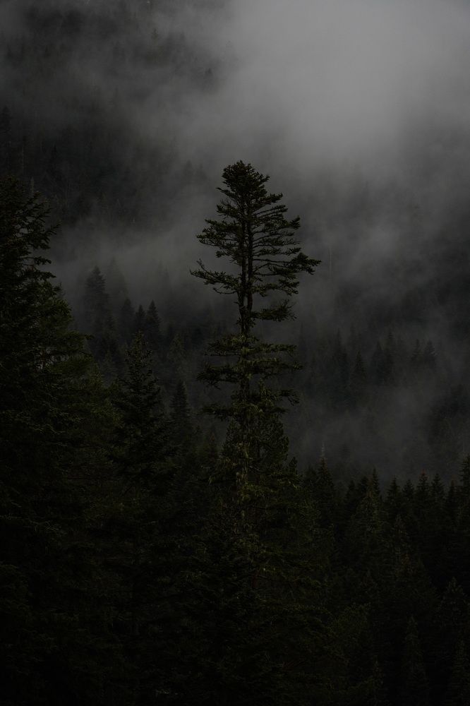 Photo #8900990
