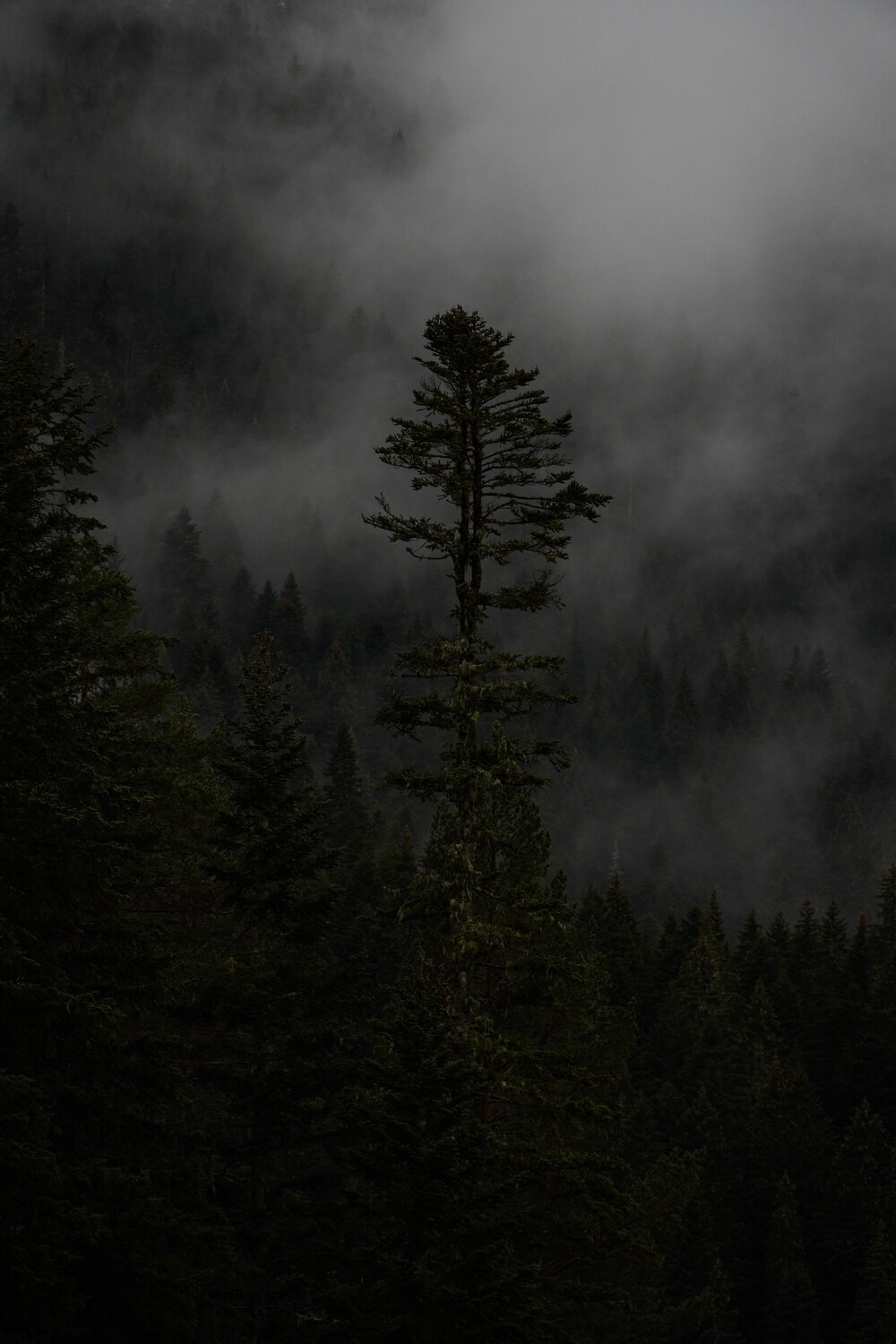 Photo #8900990