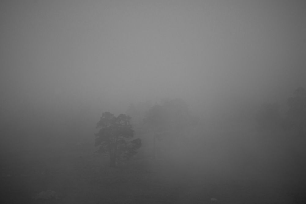 Фотография автора Медведев Сергей