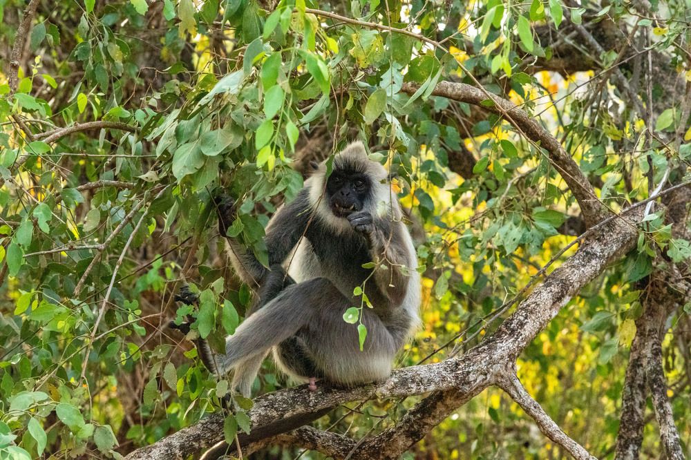 Photograph by Яна Полосина