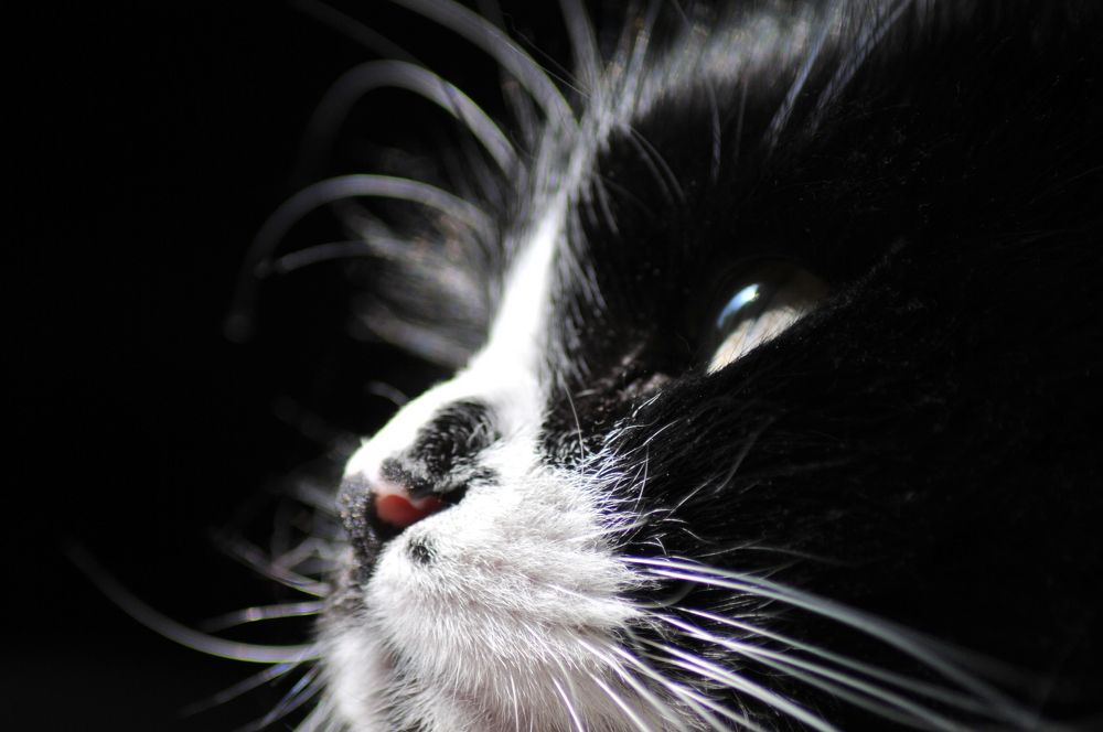 Photograph by Михаил Коршунов