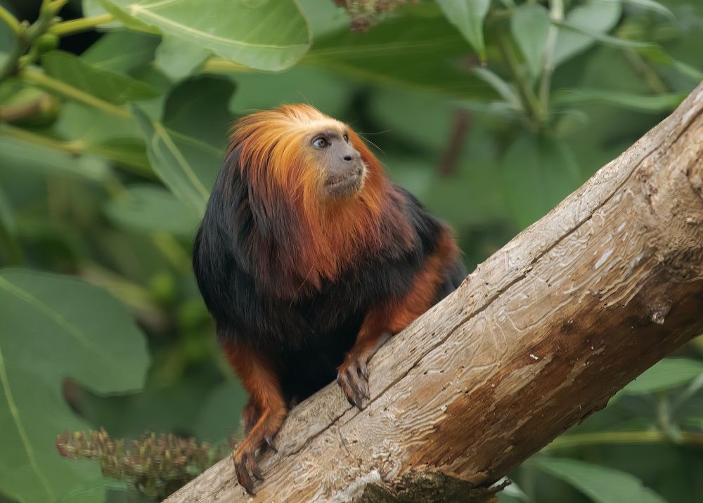 Фотография автора MARIA KULA