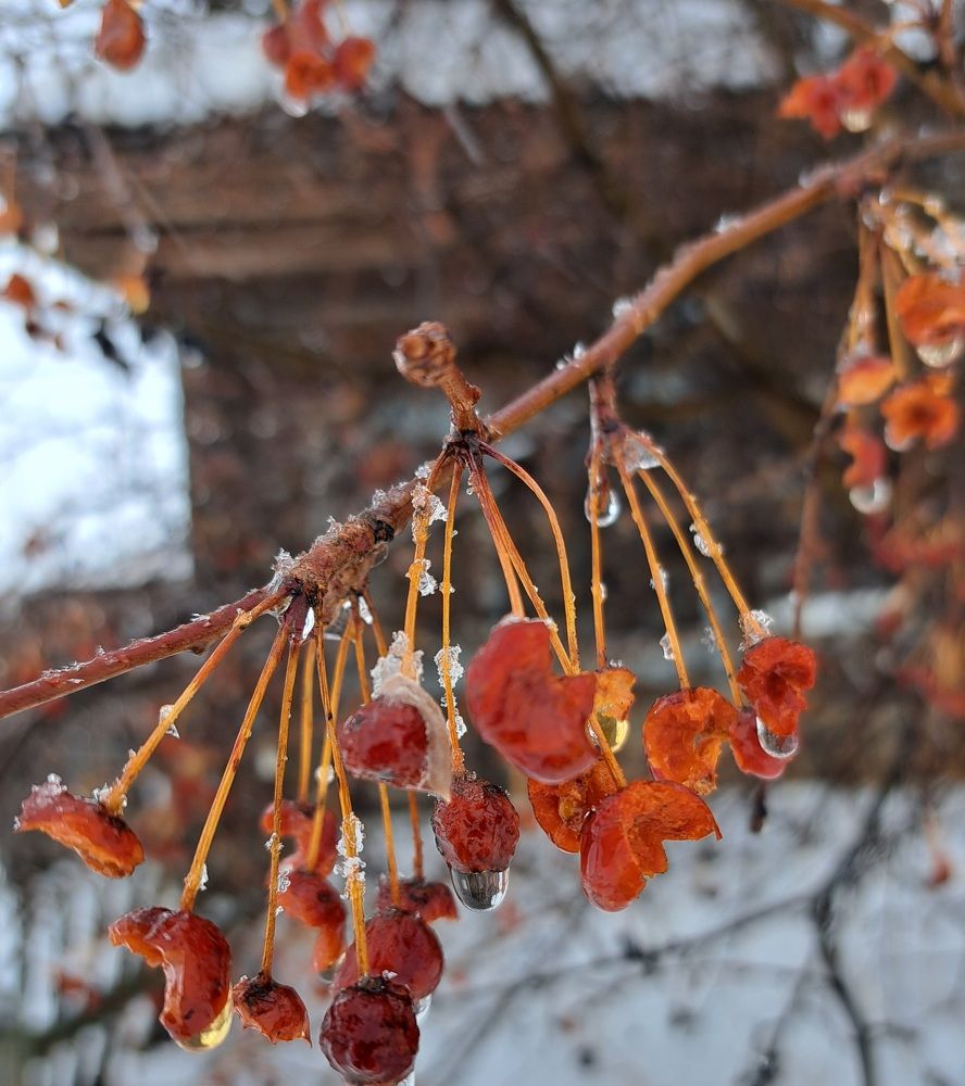 Photograph by Валентина Нохрина