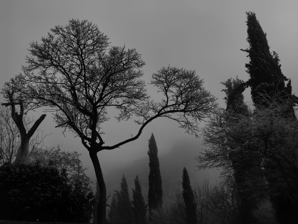 Фотография автора reza ahmadi