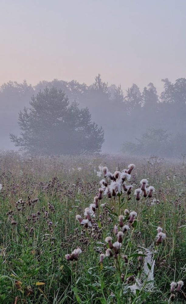 Photograph by Epp Tappel