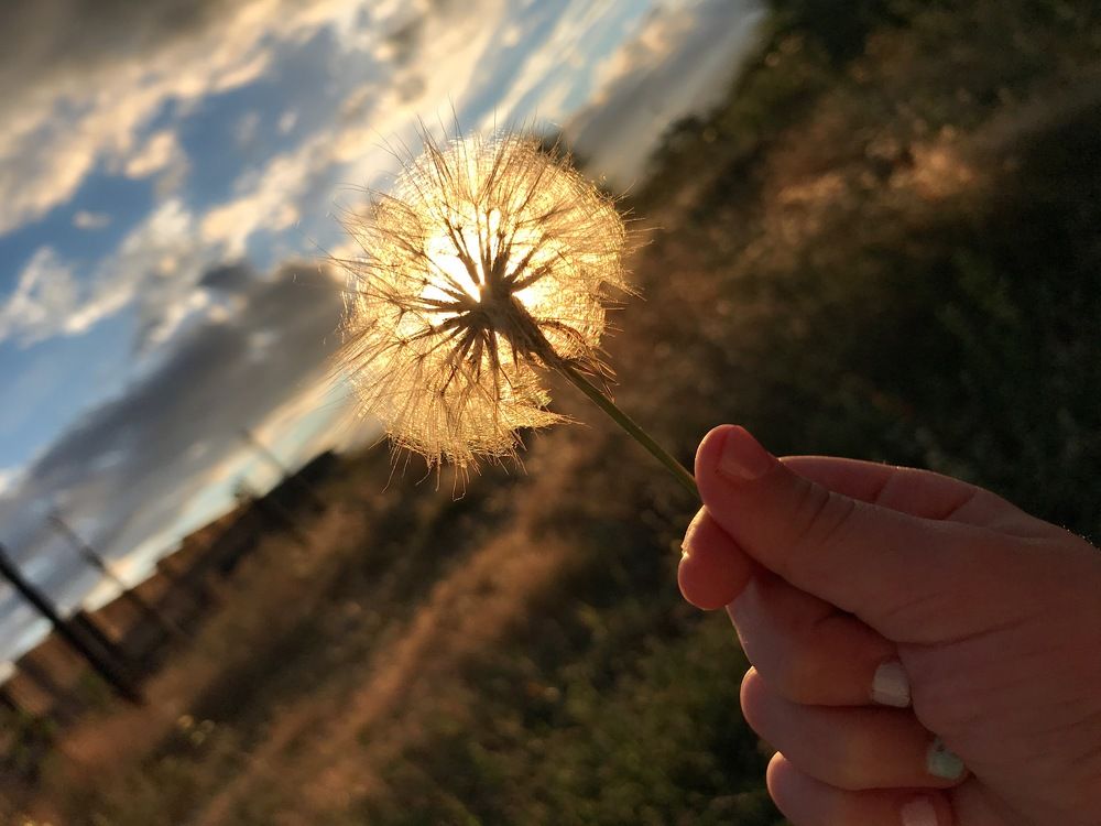 Photograph by Tatev Nadaryan