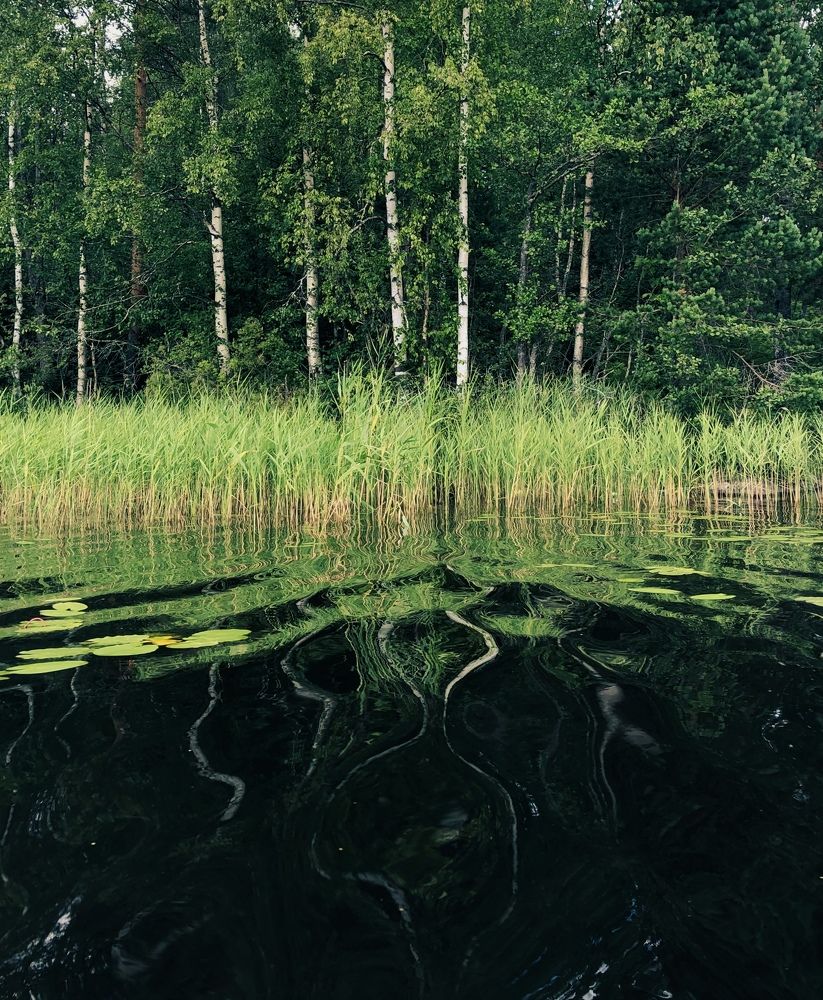 Фотография автора Anna