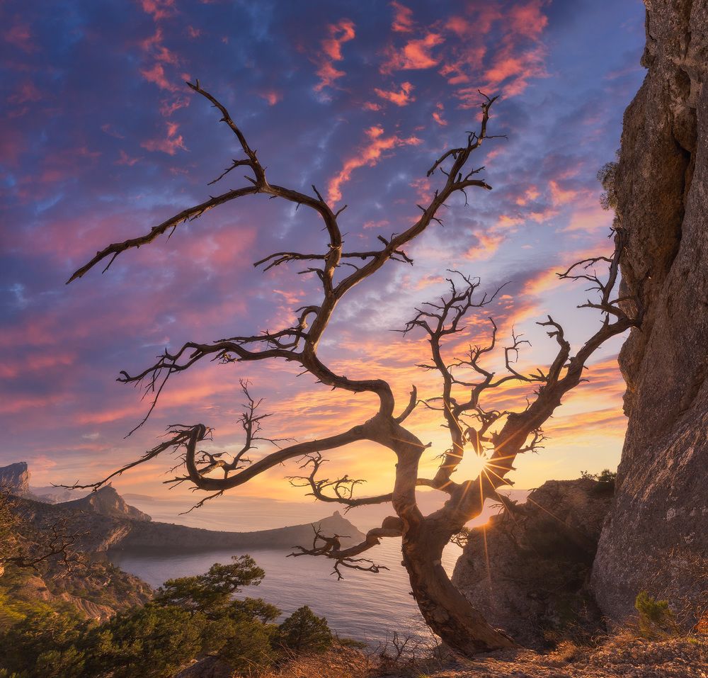 Photograph by Костенко Александр