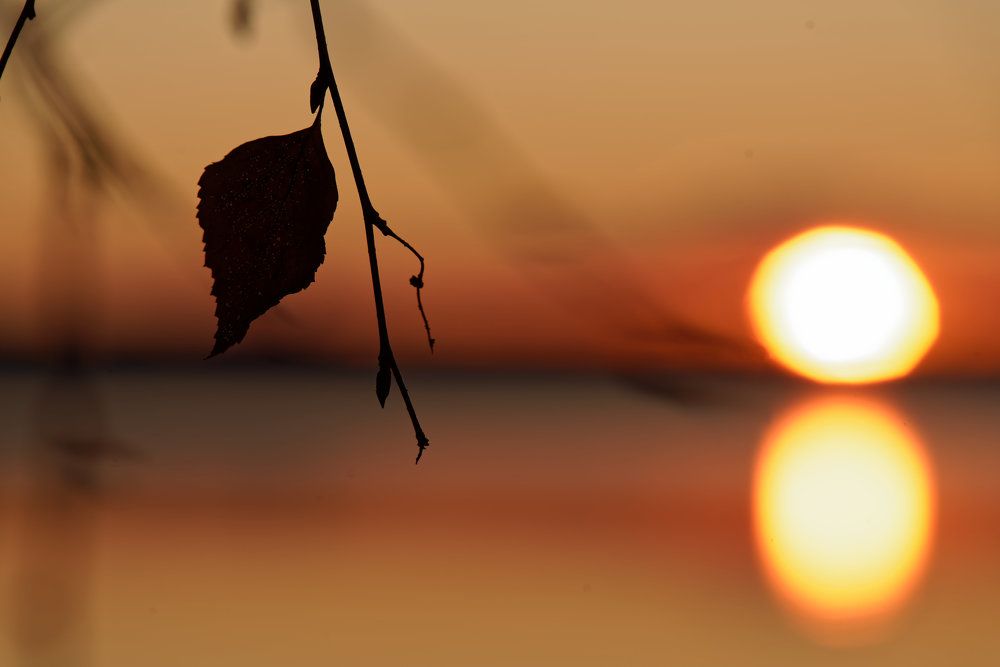 Photograph by Dim Zm