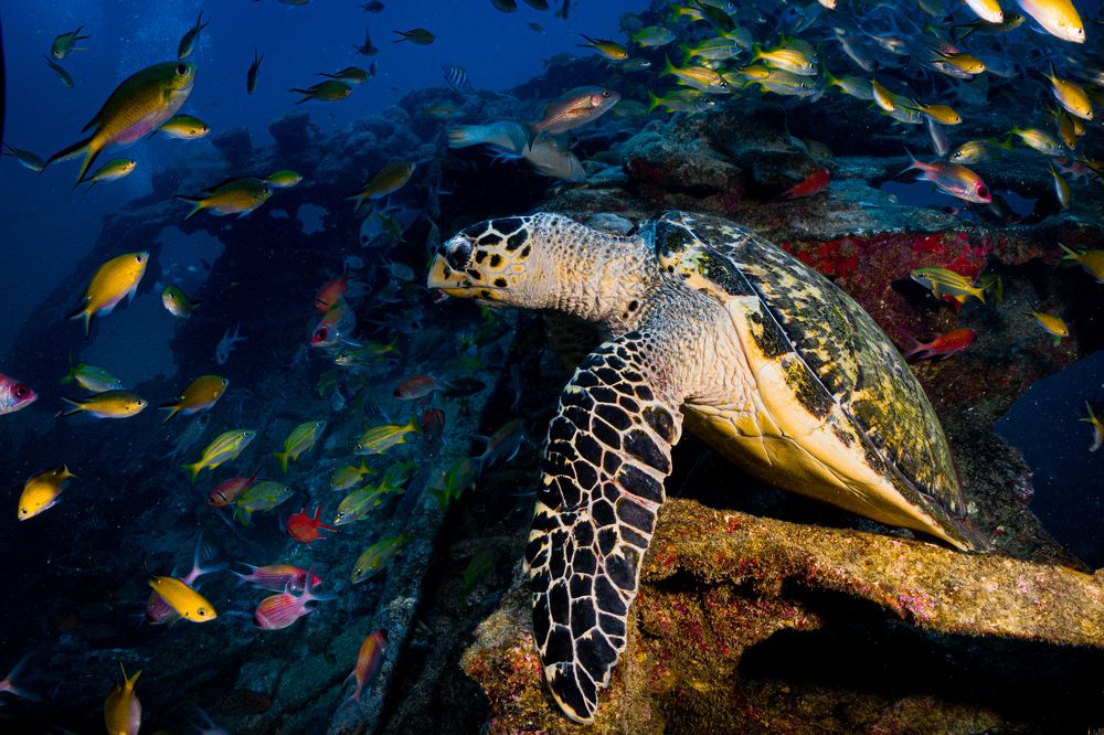 Photograph by Cecilia Muniz