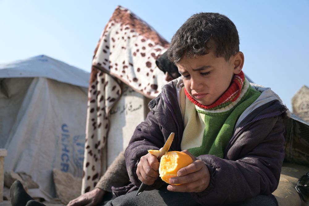 Little cemetery visitor